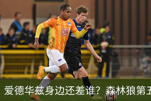 爱德华兹身边还差谁？森林狼第五位首发到底怎么选